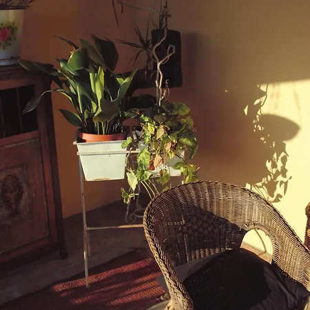 El Lacayo De Sestiello 3*