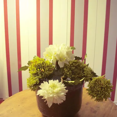 מלון El Lacayo De Sestiello גראדו