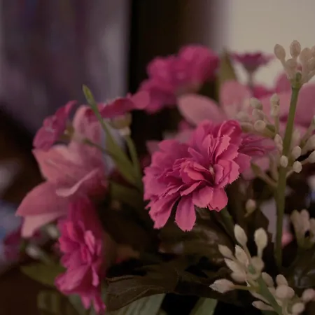 El Lacayo De Sestiello גראדו