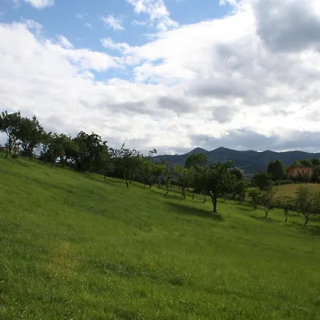 El Lacayo De Sestiello