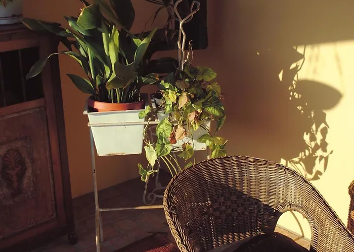 El Lacayo De Sestiello 3*