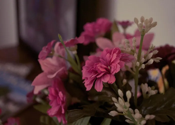 El Lacayo De Sestiello グラド