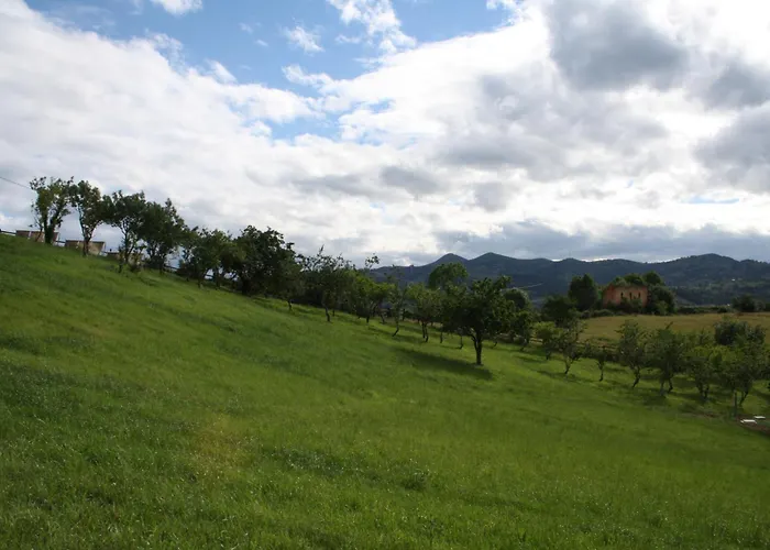 El Lacayo De Sestiello